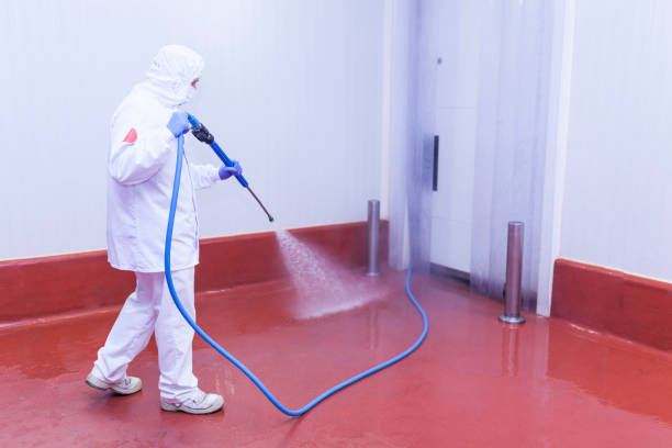 Best Building Exterior Washing  in North Wantagh, NY